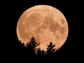 «اقتران القمر بالمشترى».. أشرف شاكر: ظاهرة ليست نادرة وتُرى بالعين المجردة
