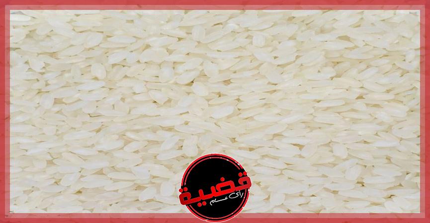 أرز مصري