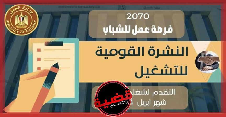 وزارة العمل تعلن 2070 فرصة عمل في 39 شركة خاصة بـ 12 محافظة