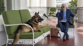 كلب بايدن المتهور يواصل هوايته المفضلة في عض رجال الأمن المحيطين بالرئيس الأمريكي